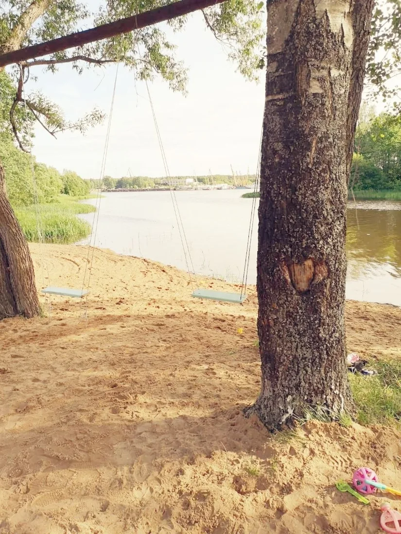 Пляж и сосны на берегу Волги