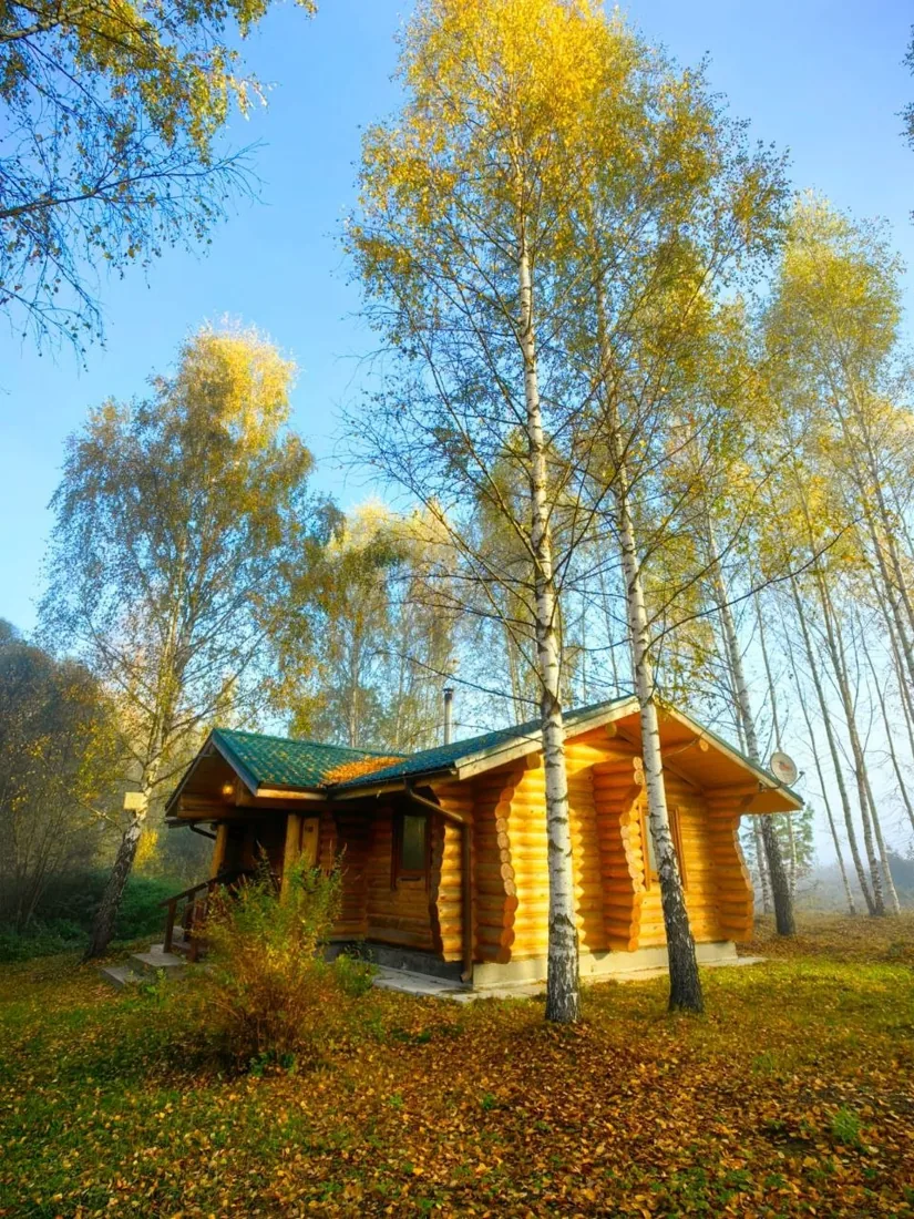 Деревянная баня осенью